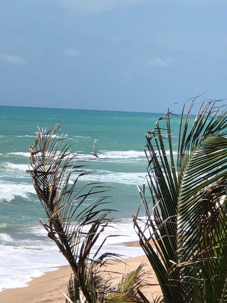 Temporada Em Maceio Lägenhet Exteriör bild
